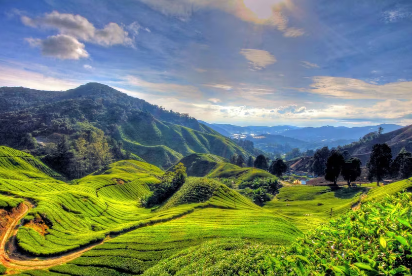 Wisata Alam dan Budaya yang Menghadirkan Kedamaian